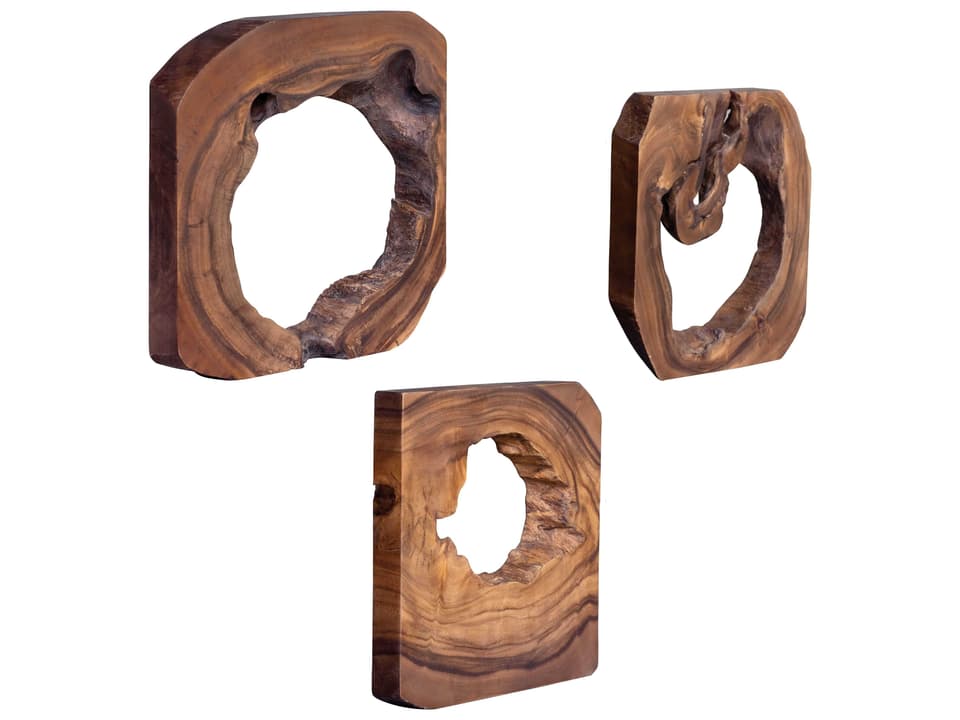 Adlai Wood Trees Wall Art Set of 6 in Rich Coffee Brown