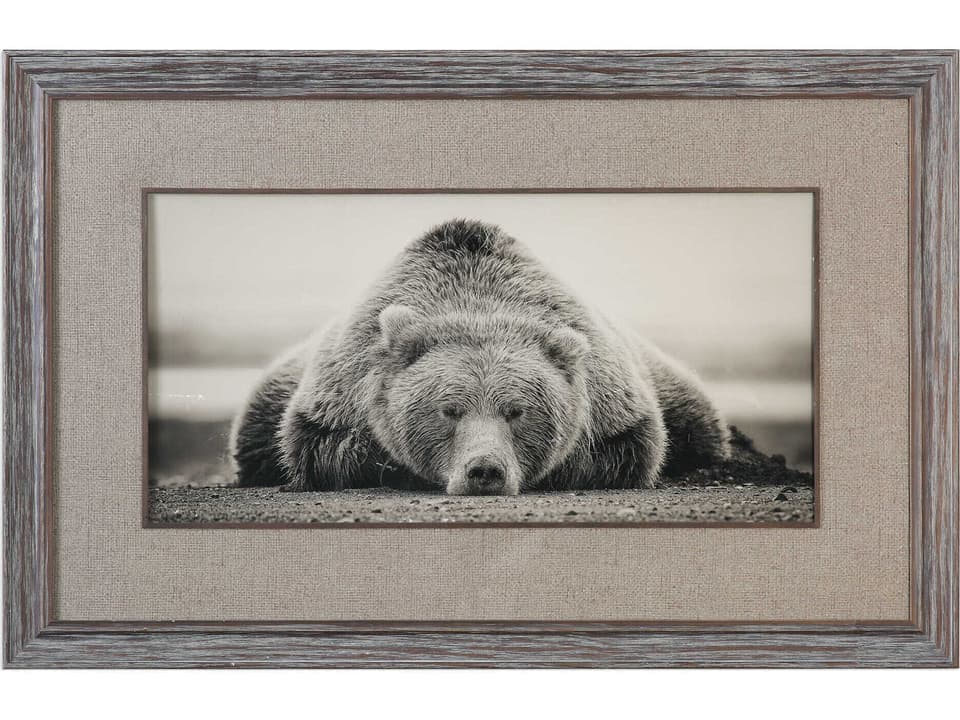 Deep Sleep Bear Framed Print Rustic Sepia Tone Wall Art