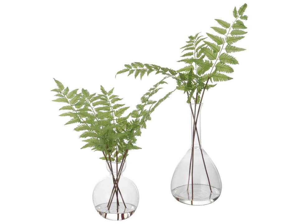 Country Fern Stems Set of 2 with Faux Water and Glass Vase