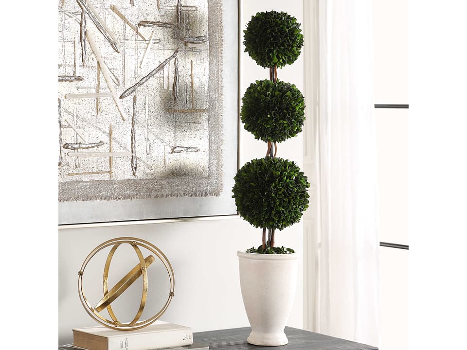 Preserved Boxwood