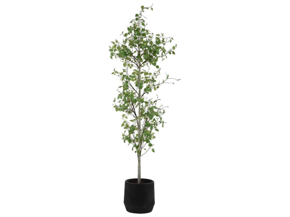 Boreal Decorative Birch Tree in Aged Gray and Green