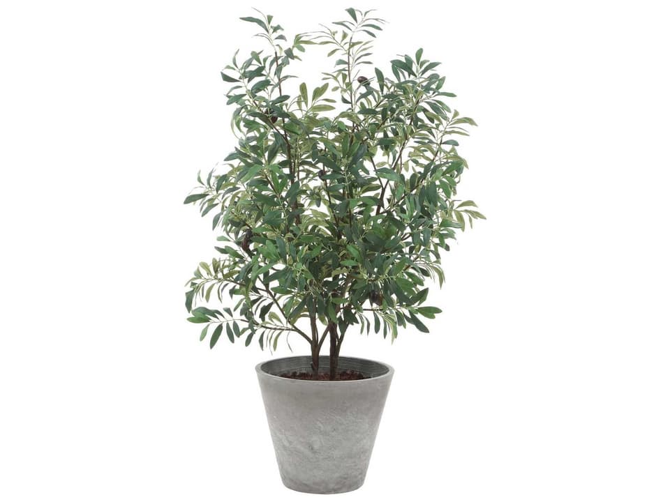 Marisol Lifelike Olive Tree Planter with Natural Olives and Gray Ceramic Pot