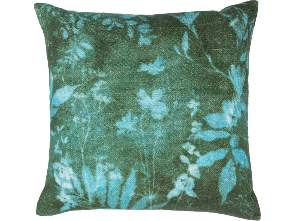 Spartina