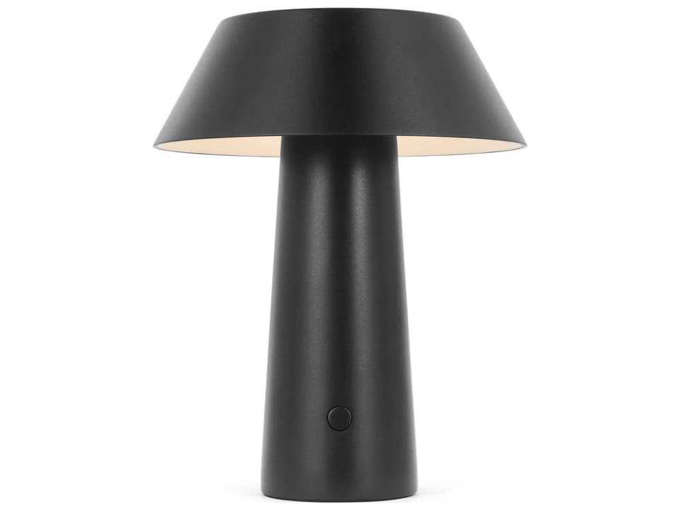 Sesa 1-Light Outdoor Lamp