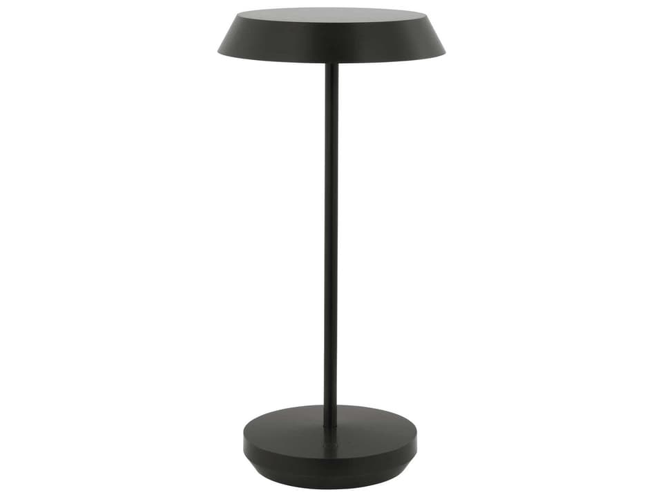 Tepa 1-Light Rechargeable Outdoor Table Lamp in Bronze