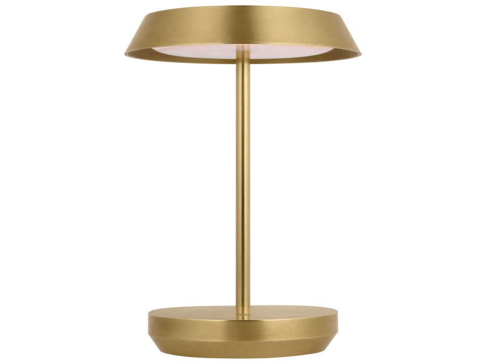 Tepa 1-Light LED Outdoor Lamp in Hand Rubbed Antique Brass