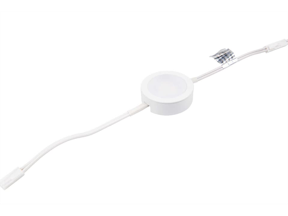 Line Voltage 4W LED Puck Light in White with Selectable CCT