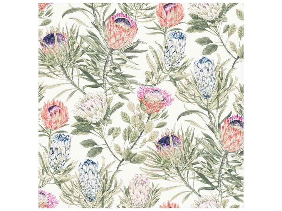Blooms White & Fuchsia Wallpaper