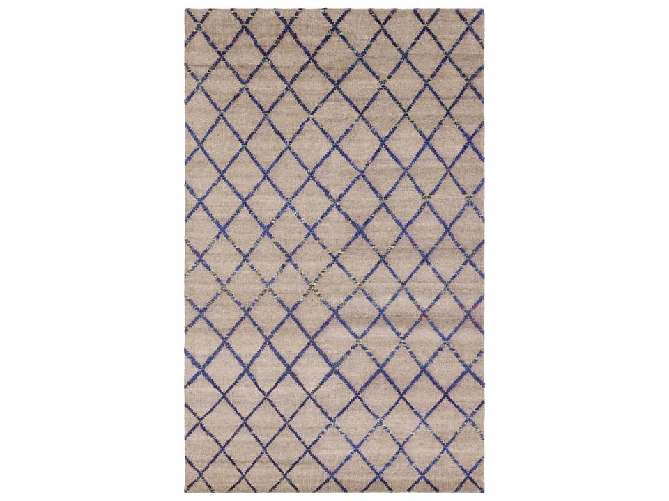 Aarushi Hand-Knotted Wool Blend Area Rug in Beige and Blue