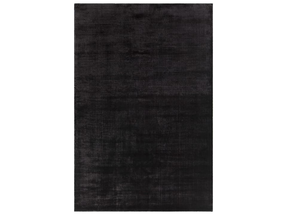 Alida Art Silk Hand-Woven Charcoal Area Rug