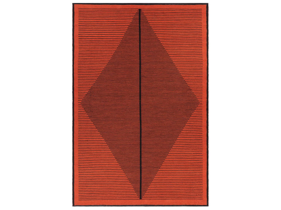 Elyza Hand Woven Indoor Outdoor Area Rug in Rust and Black