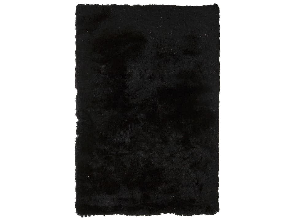 Mercury Shag Polyester Area Rug in Black