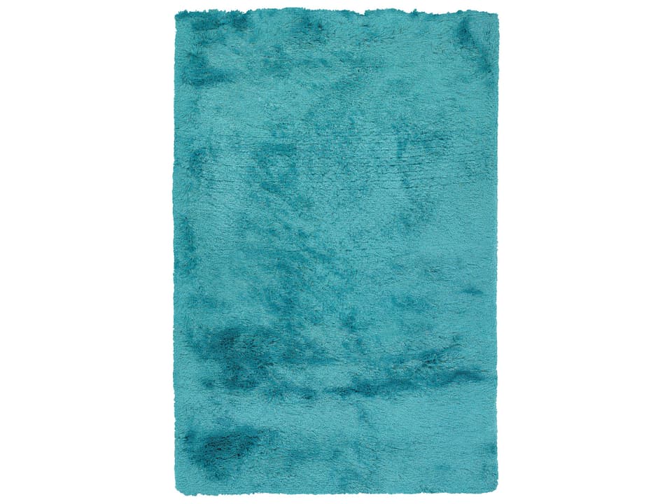 Naya Shag Area Rug