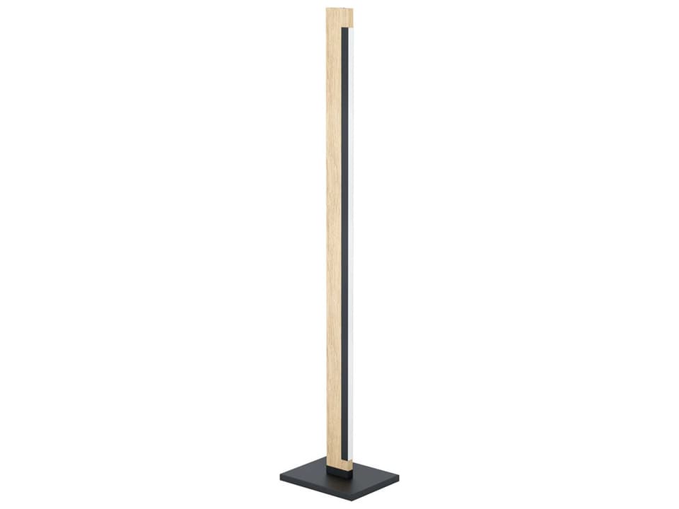 Camacho Integrated LED Floor Lamp in Black and Wood Finish