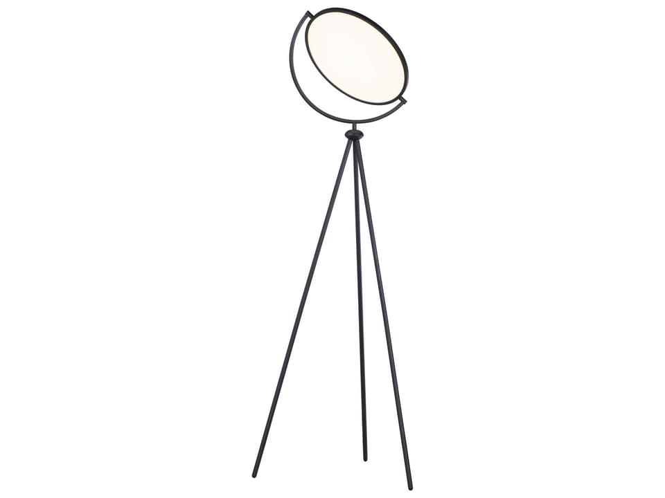 Paddle LED Black Floor Lamp