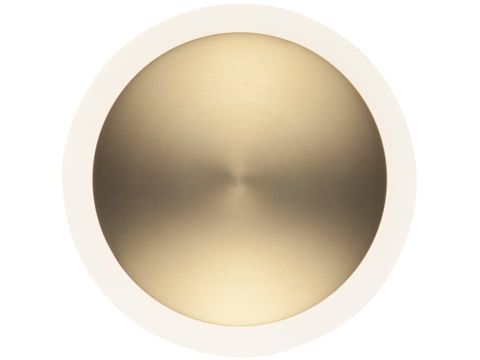 Saucer LED Wall Sconce in Black and Gold