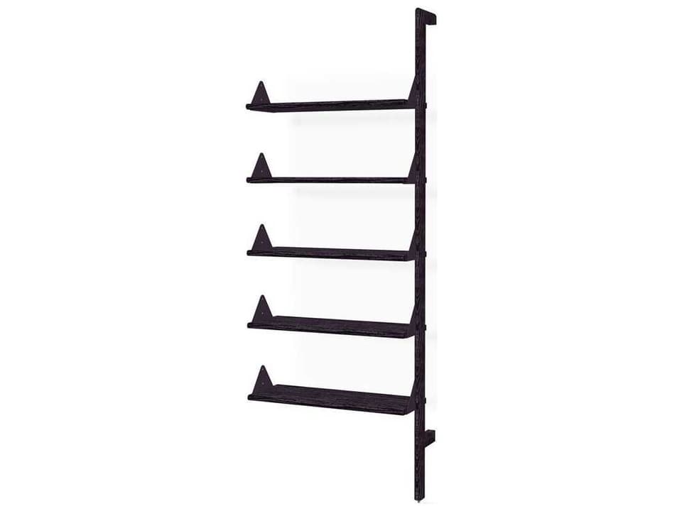 Branch Ash Black Bookcase
