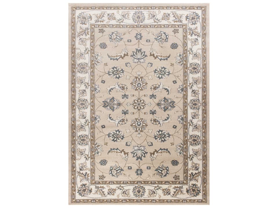 Avalon Traditional Area Rug in Beige Ivory Polypropylene