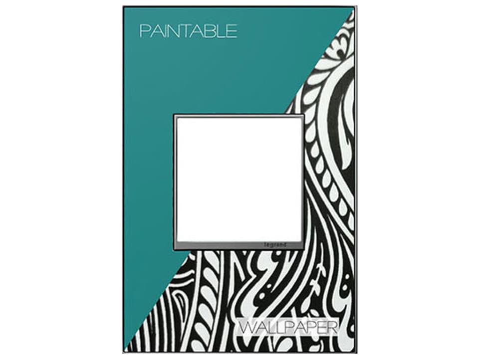 Adorne Custom One-Gang Screwless Wall Plate with Magnesium Trim