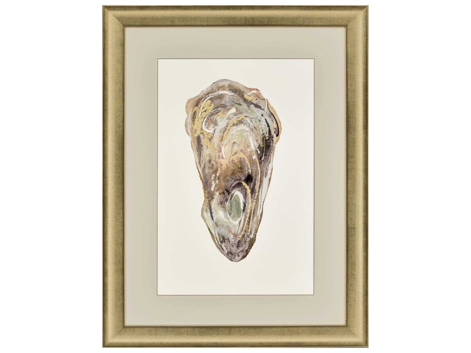 Crassostrea Virginica II Framed Wall Art Coastal Oyster Design