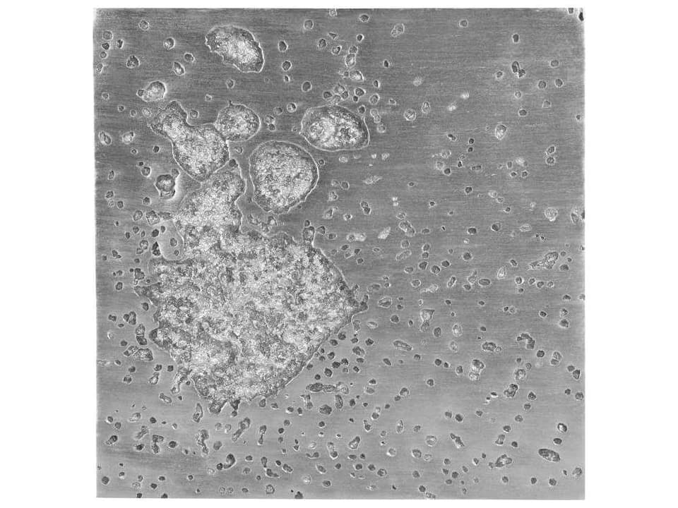 Splotch Square Wall Art in Silver Leaf