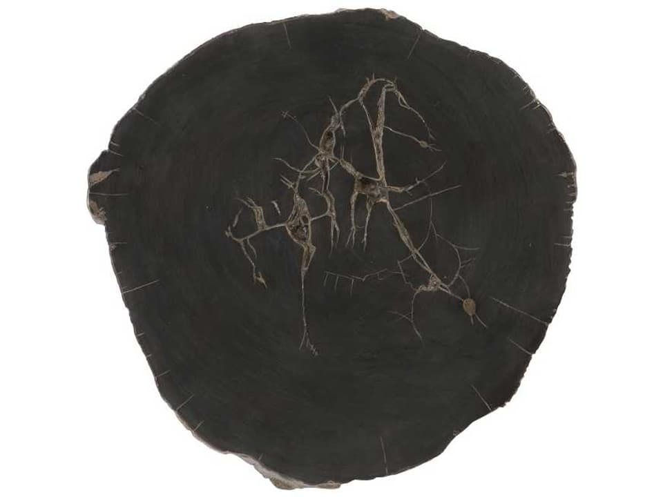 Cast Naturals Petrified Wood Wall Tile in Black and Brown