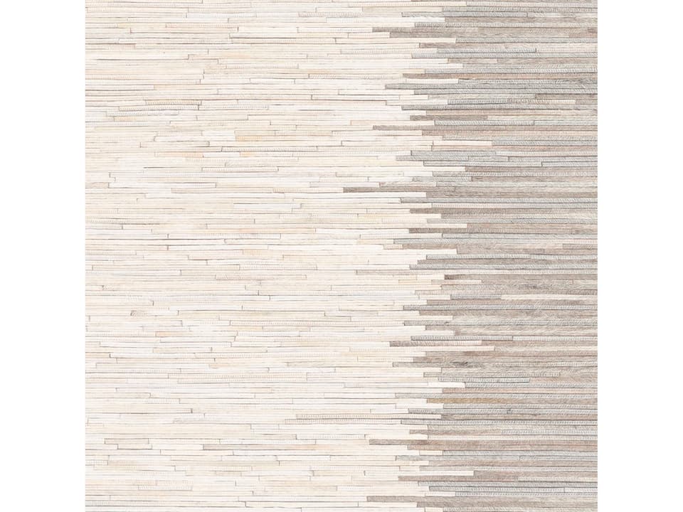 Zander Hand Woven Hair On Hide Area Rug Sample in Multi Color