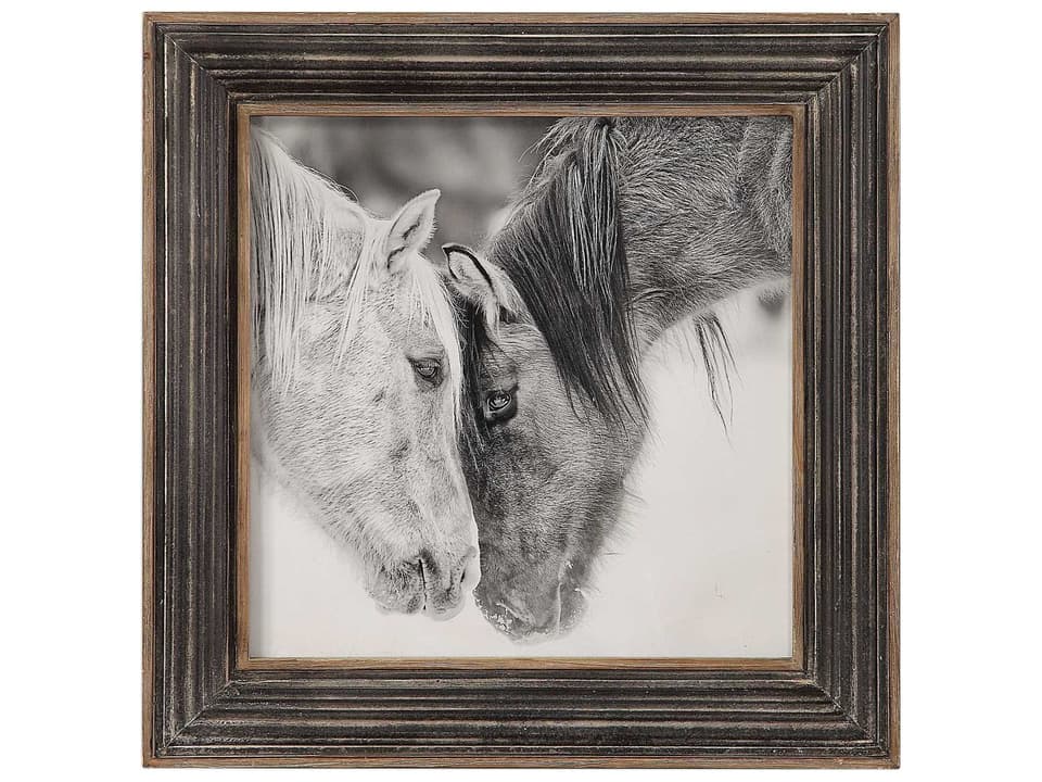 Custom Black and White Horses Framed Print by Ph Burchett
