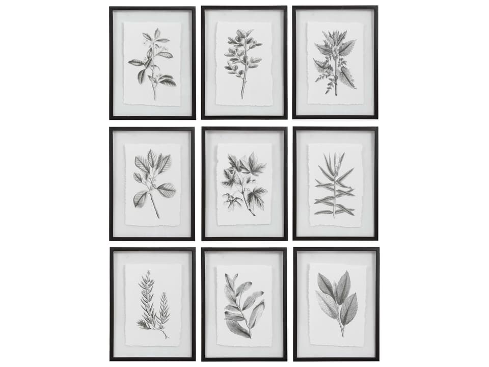 Farmhouse Florals 9-Piece Framed Print Set in Matte Black and White