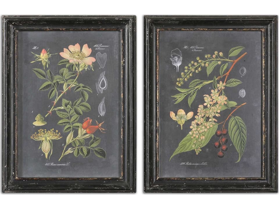 Midnight Botanicals Wall Art Set of 2 with Distressed Black Frames