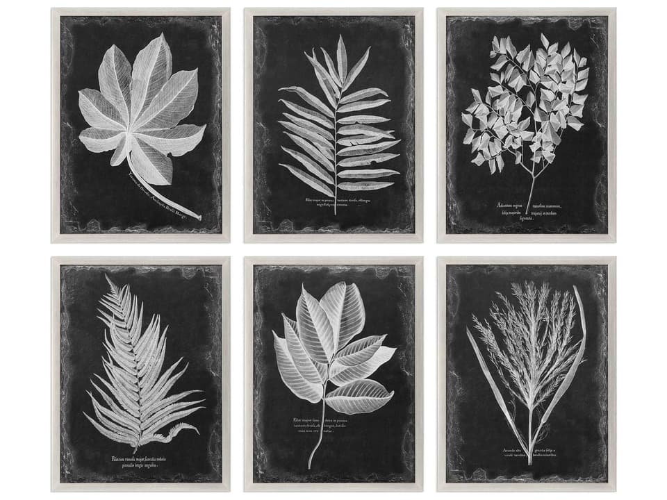 Foliage Framed Prints Set of 6 in Champagne Silver