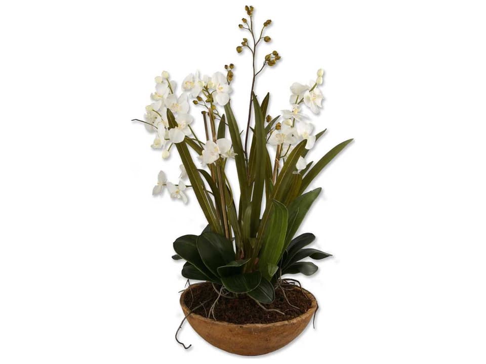 Moth Orchid Artificial Floral Planter in Natural Brown