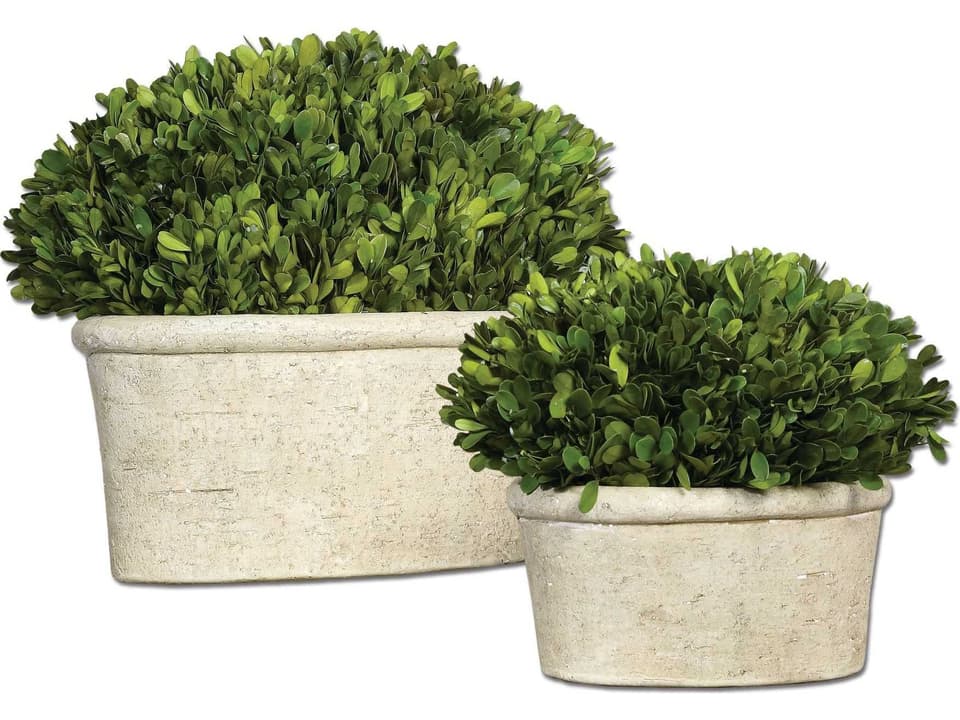 Preserved Boxwood Oval Domes Botanical Set of 2 in Mossy Stone Terracotta