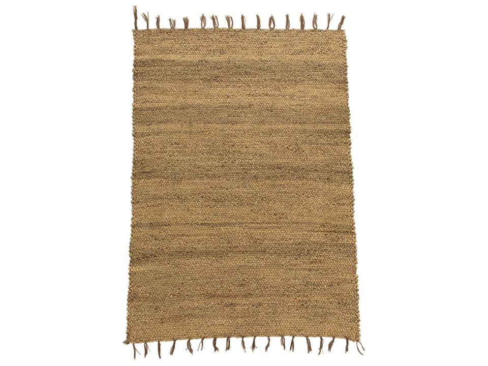 Braided Area Rug