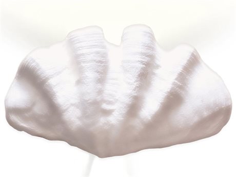 A19 Fiji 2-Light White Wall Sconce