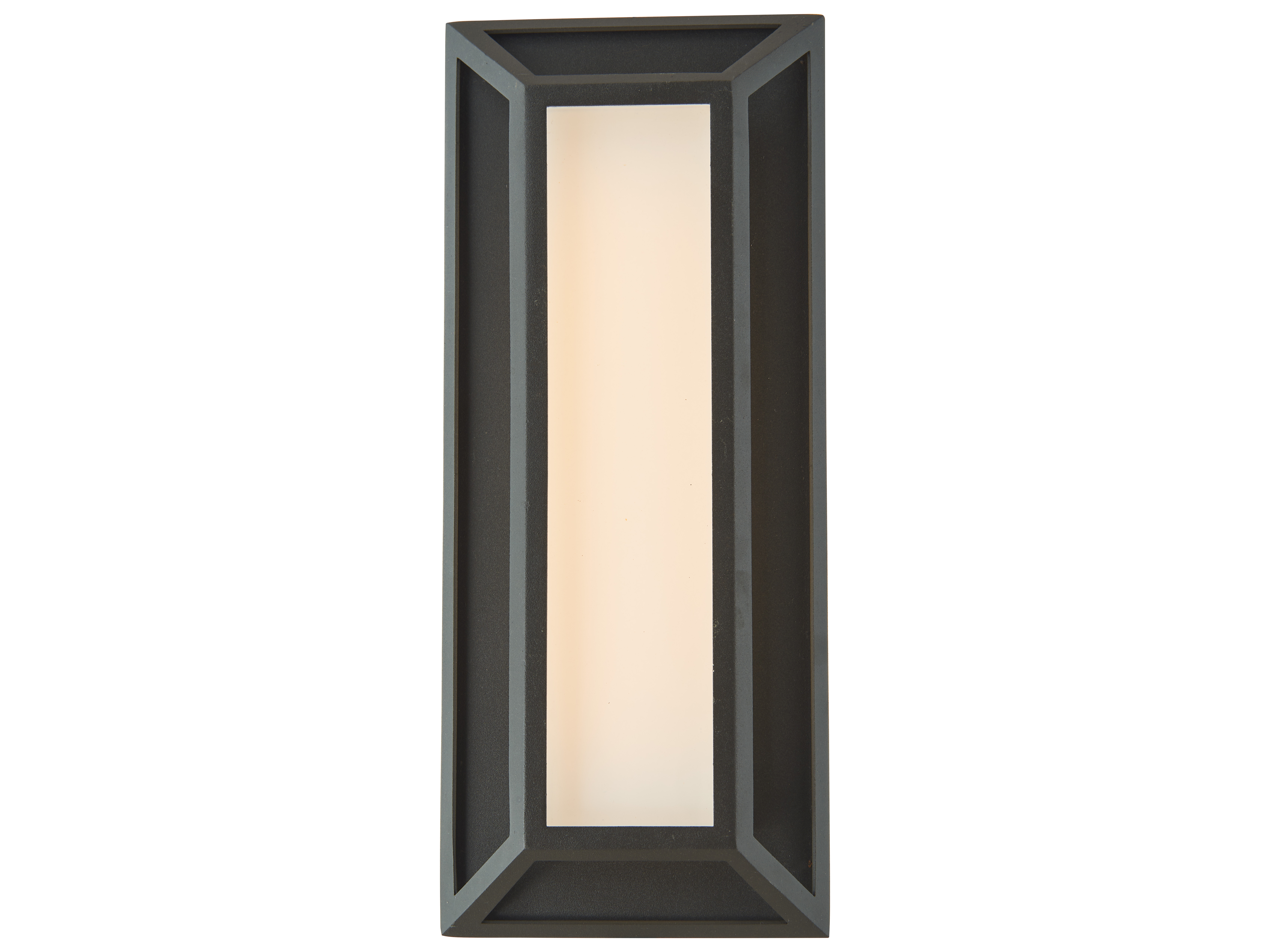 Abra Cell 1-Light Outdoor Wall Light in Matte Black