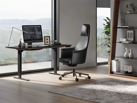 BDI Sequel-20 Home Office Set