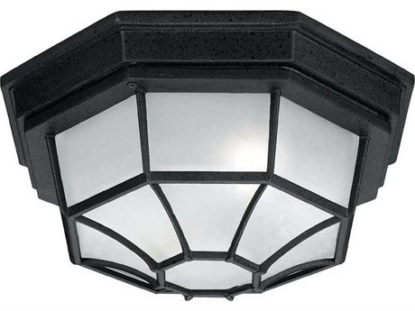 Capital Lighting Outdoor 2 - Light Ceiling Light