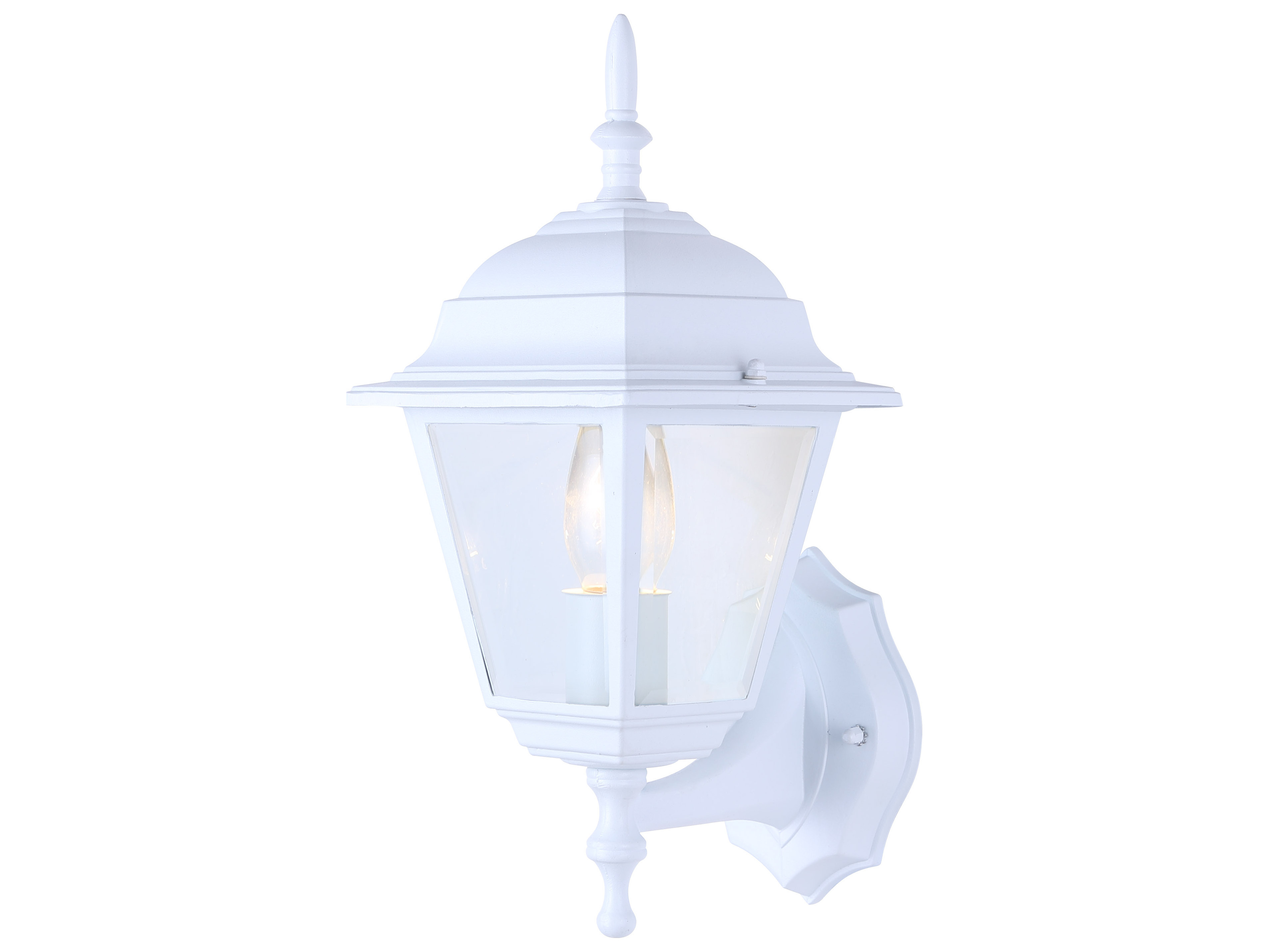 Canarm Outdoor 1 -light Wall Light | CANIOL111