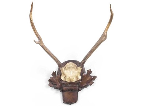 Chelsea House Bill Cain Deer Antlers
