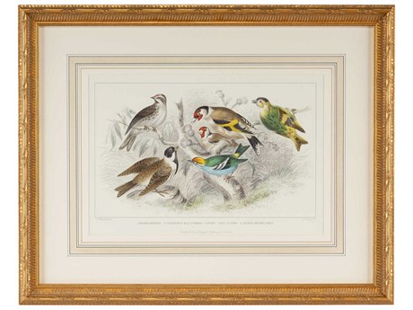 Chelsea House Gold Finch, Bunting & Wrens