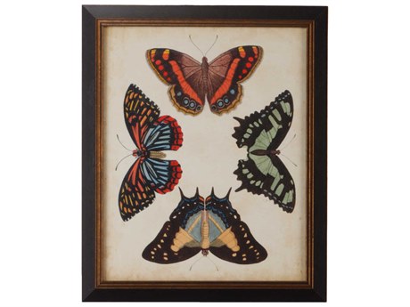 Chelsea House Display Of Butterflies IV