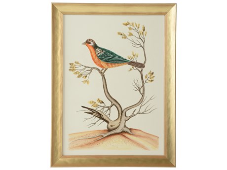Chelsea House Bill Cain Watercolor Birds B Wall Art