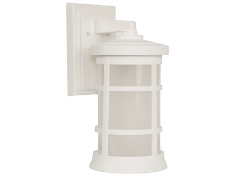 Craftmade Resilience Lanterns 1 - Light Outdoor Wall Light