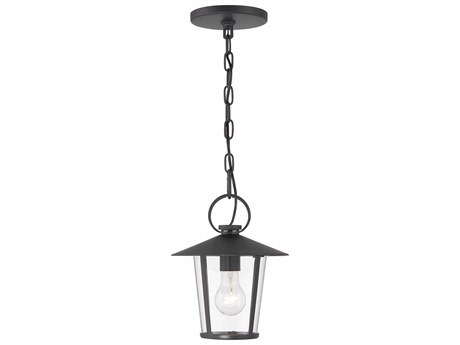 Crystorama Andover 1 - Light Outdoor Hanging Light with Clear Glass Shade