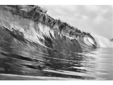 Daleno Long Ride Wall Art