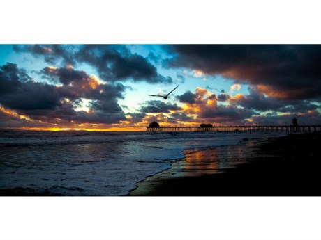 Daleno Soar Wall Art