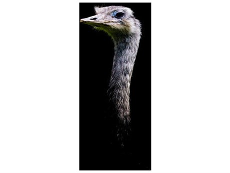 Daleno What Did You Say? I Wall Art