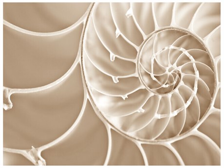 Daleno Relic I Wall Art