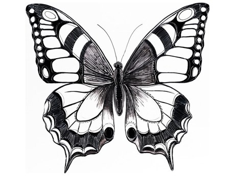 Daleno Study of Flying Wall Art